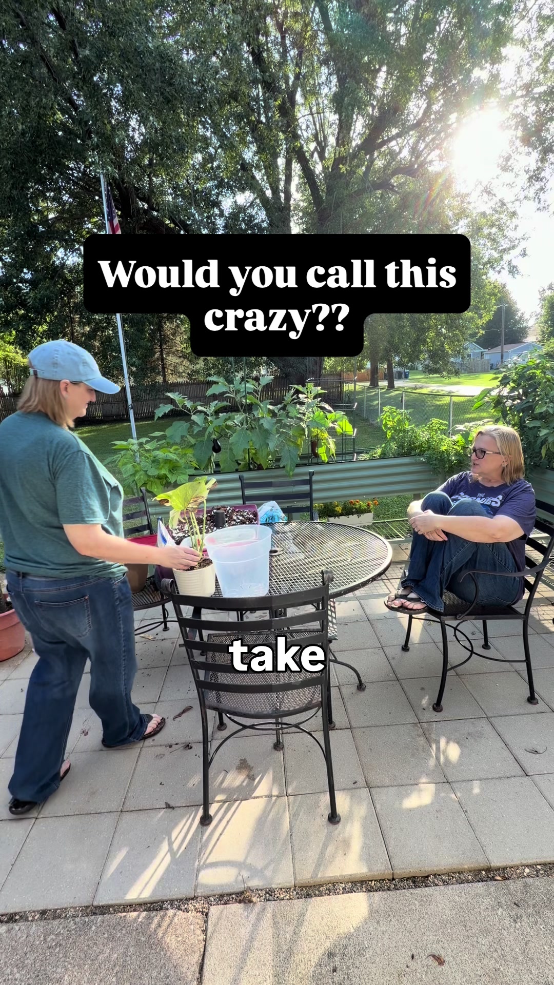 @Pothosiblyaboutplants