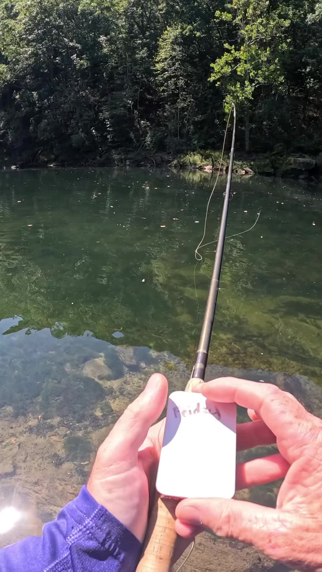 @ellisfishnish