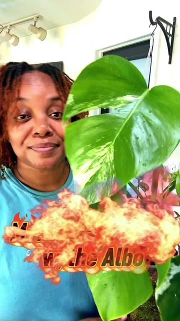 @PlantLadyNico🪴