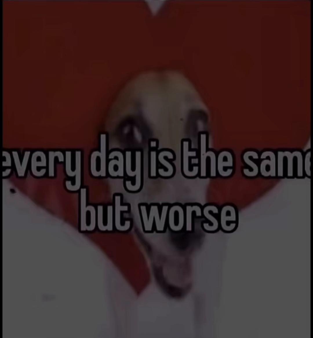 @zae