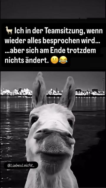 @bellaherz h&ouml;re auf andern geda
