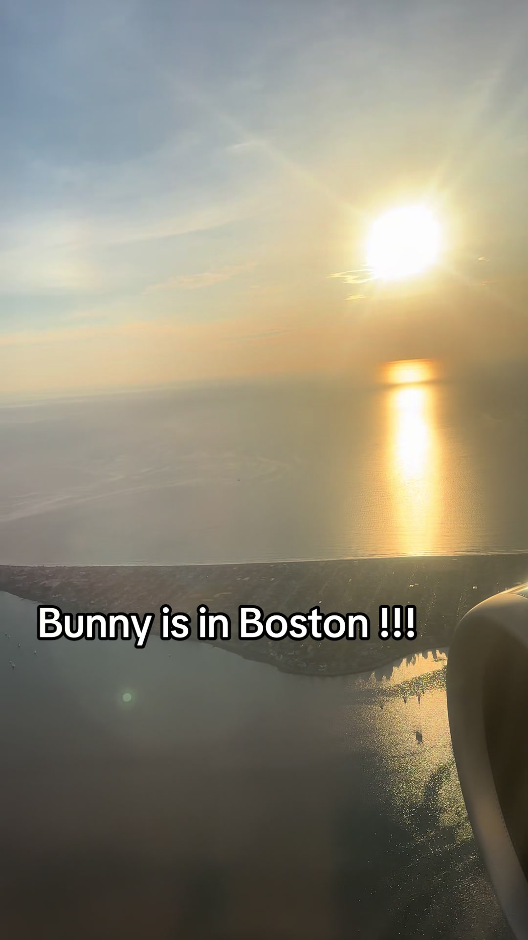 @Bunnytakesnotes1111