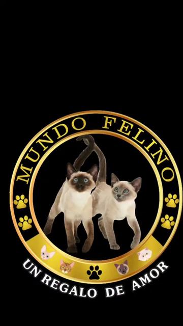 @🇵🇪 IMPERIO SIAMÉS 🇵🇪