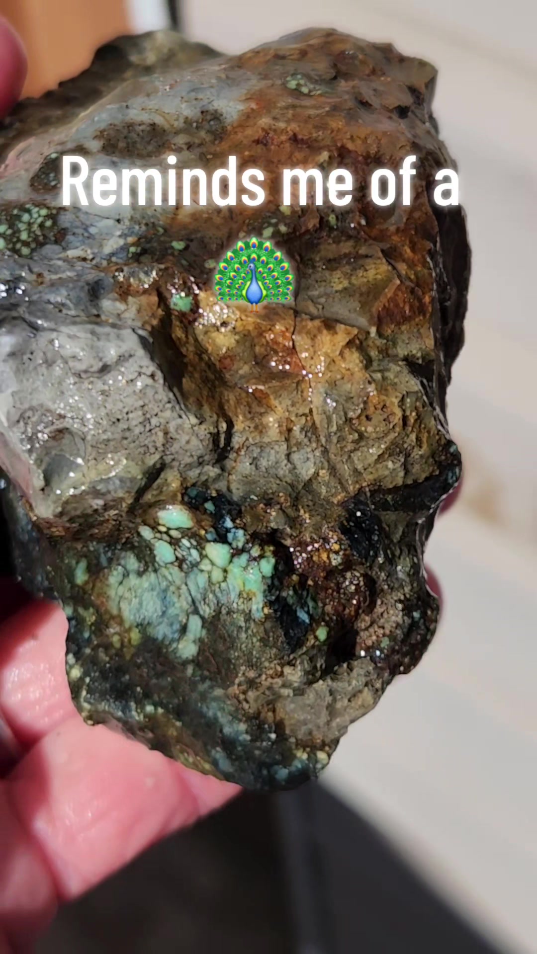 @EarthyFinds