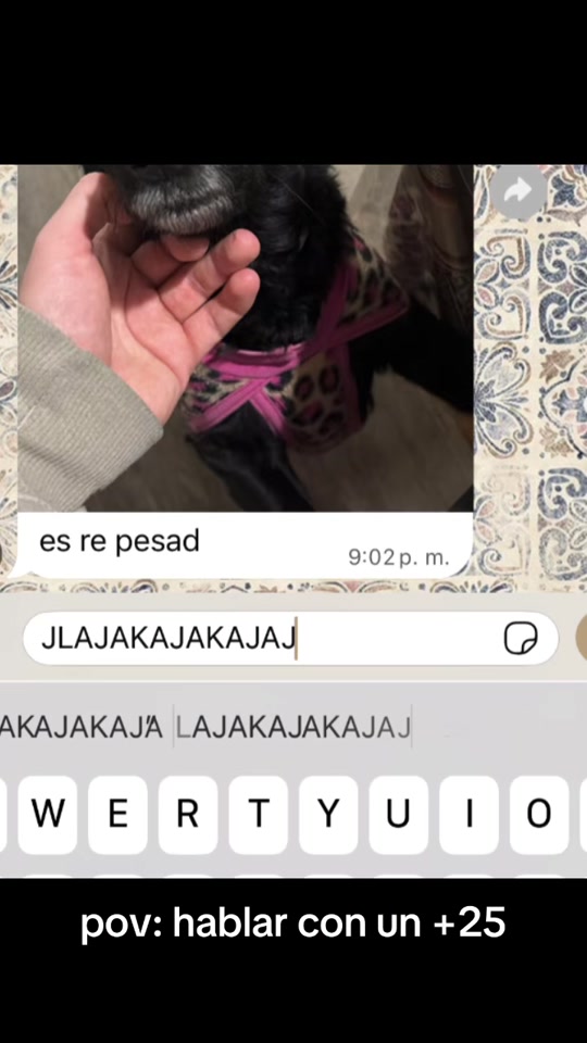 @loli;)🪽