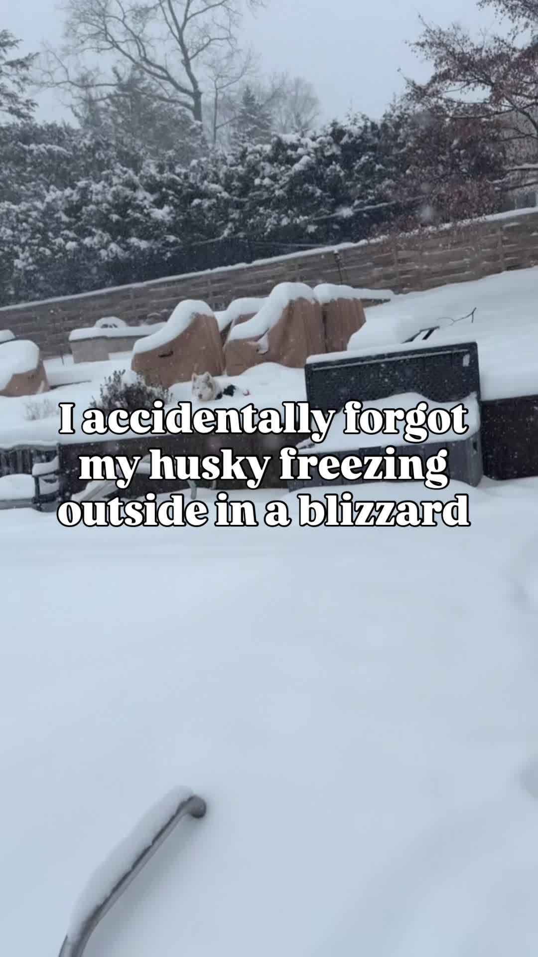 @freezinghusky