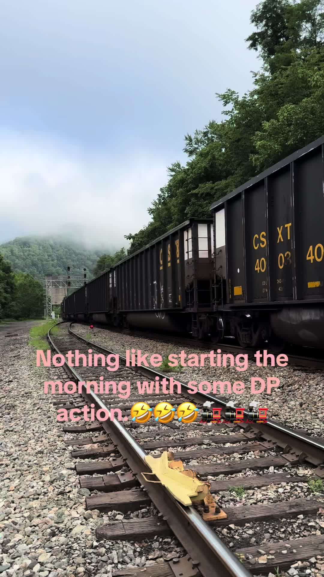 @wvdogmom13