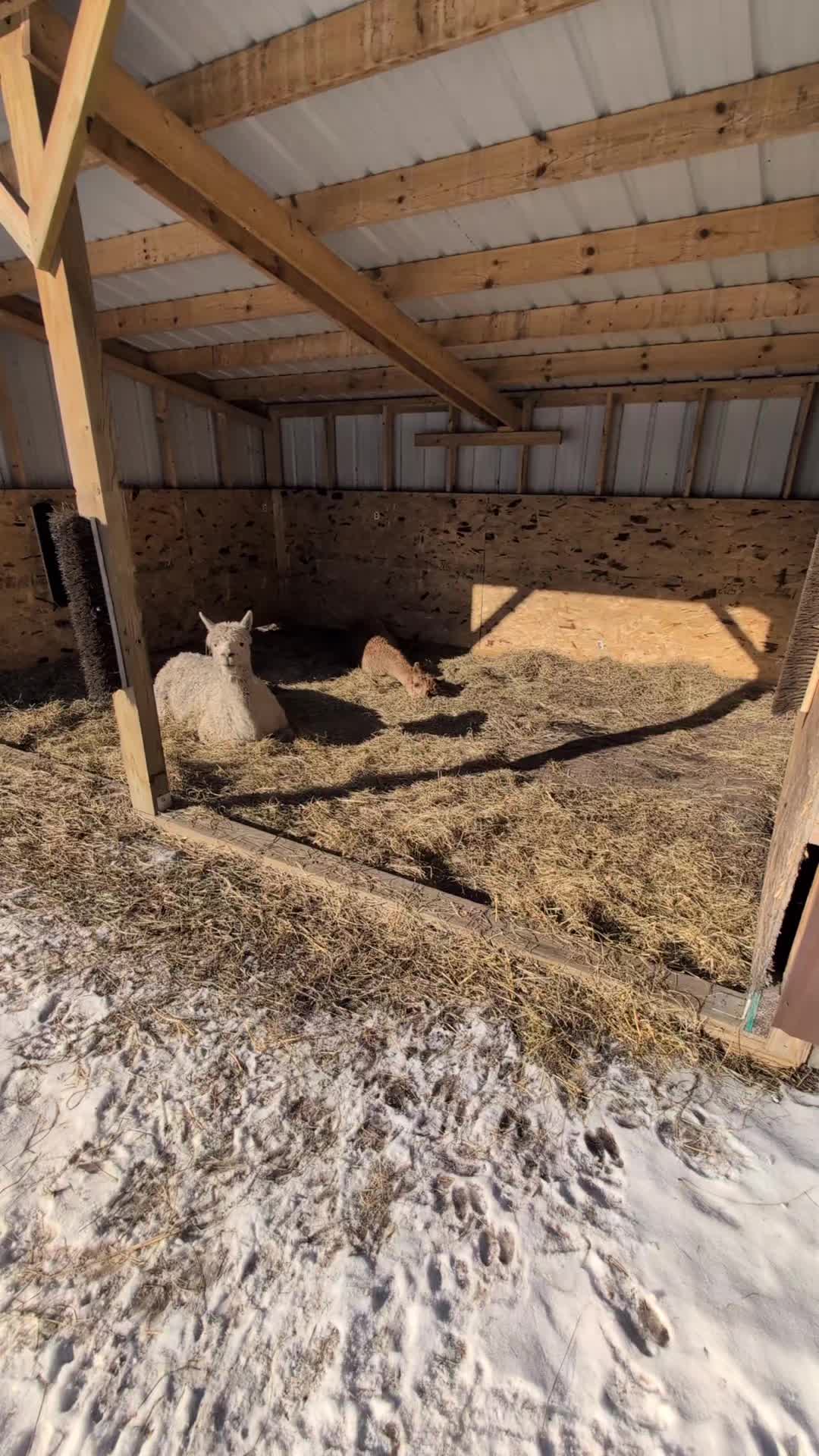 @HTSS