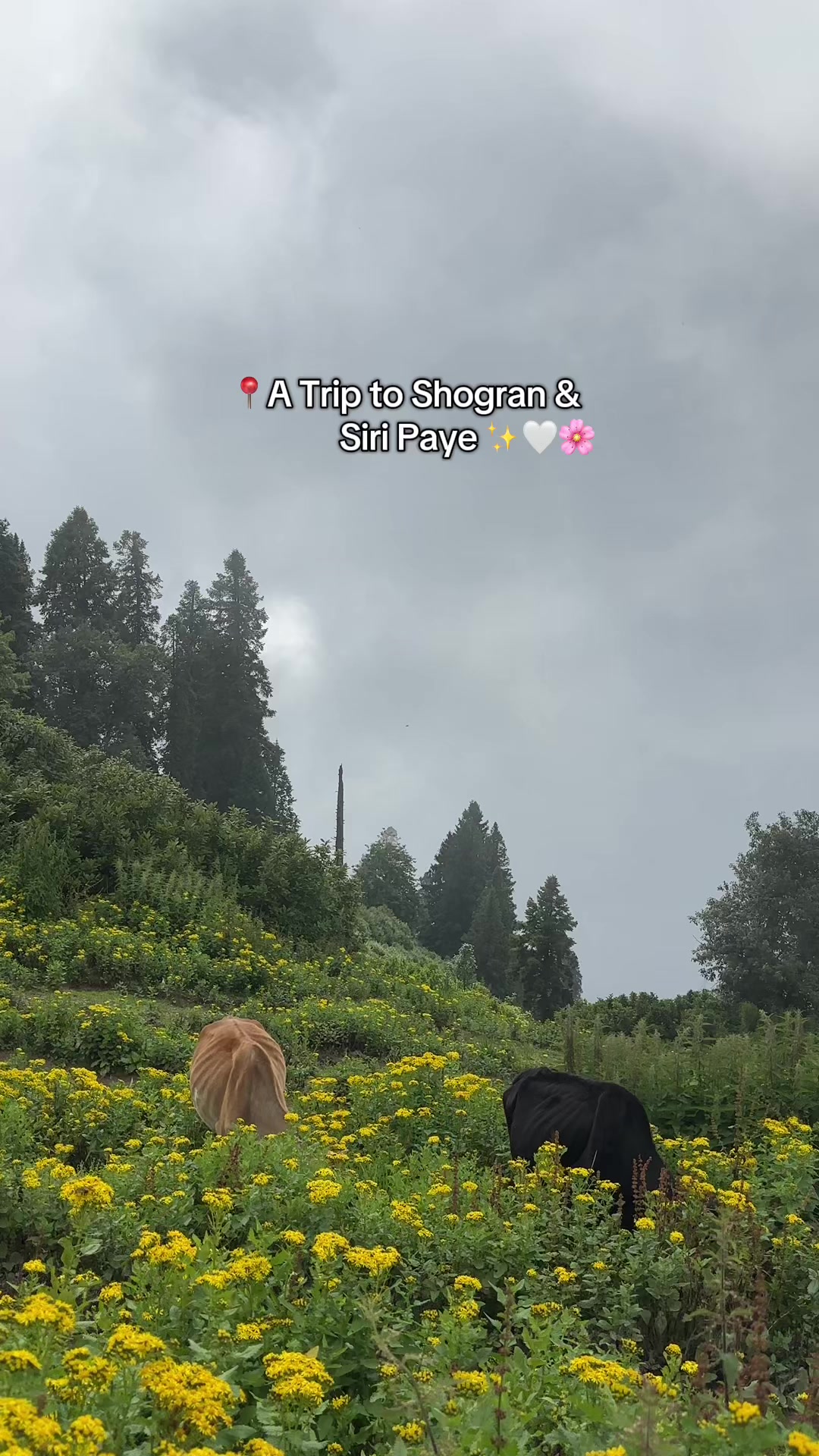 @ا