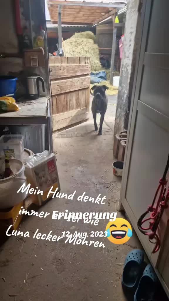 @LunaherzTina
