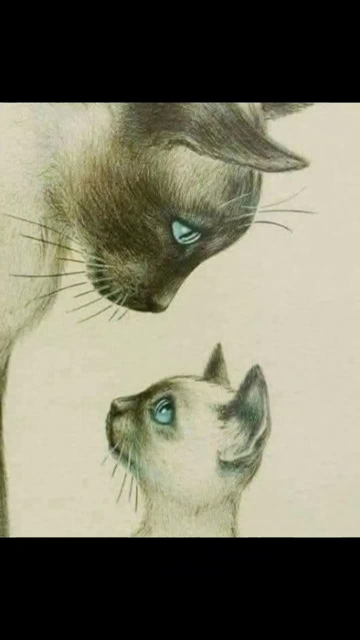 @Caty