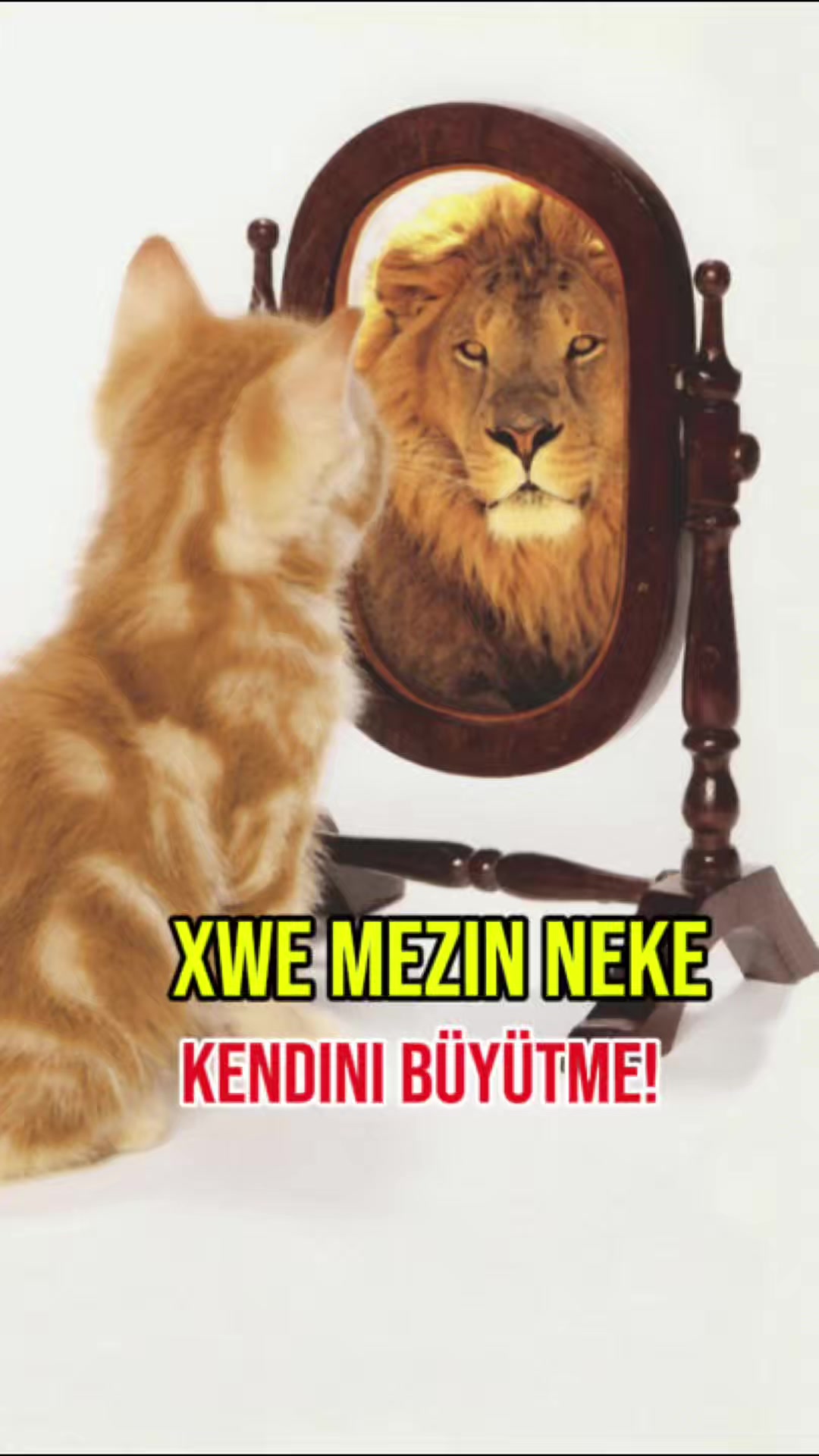 @Mehmet BUDAK