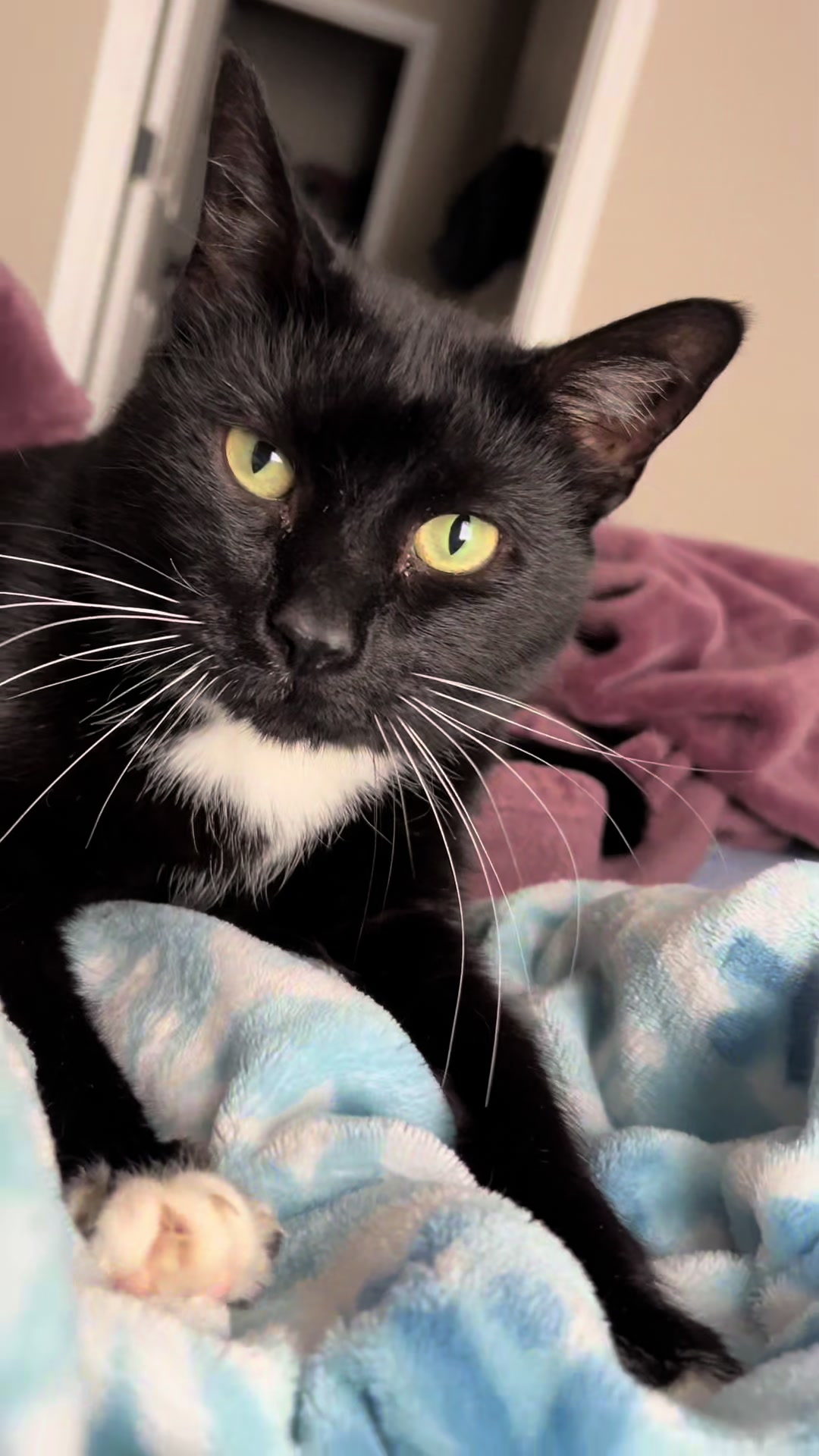 @CuddleBug