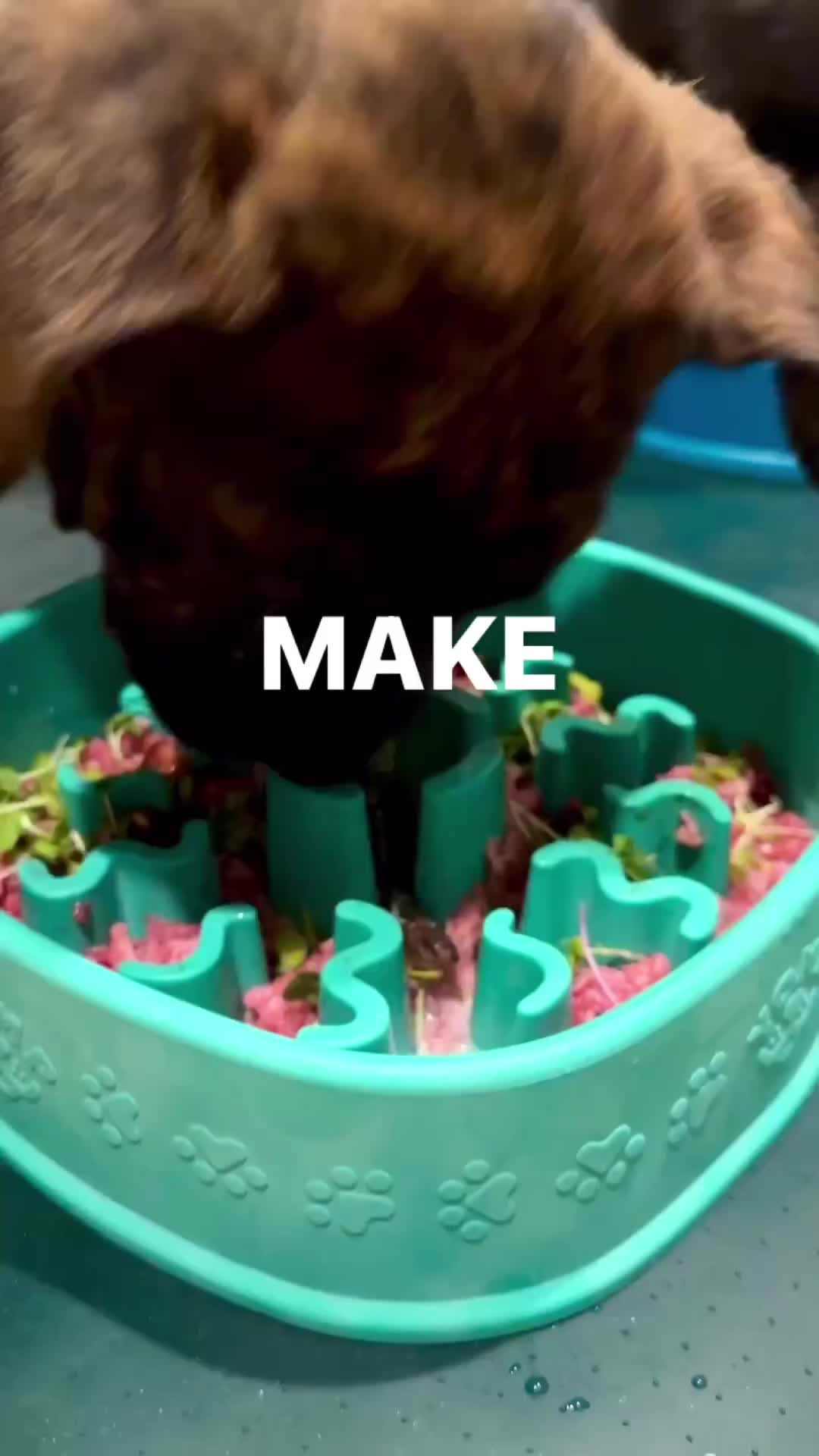 @ShopYomp
