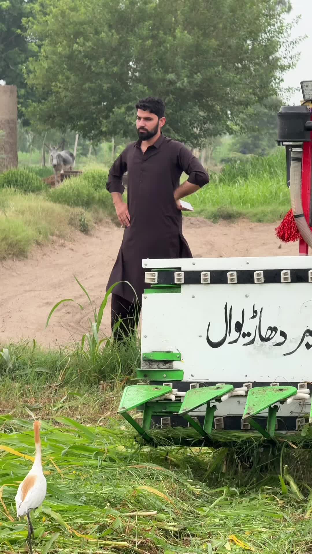 @Zaheer Dhariwal