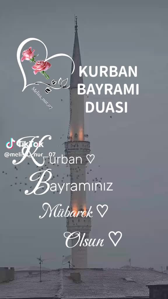 @Demet Tan KARABELA@