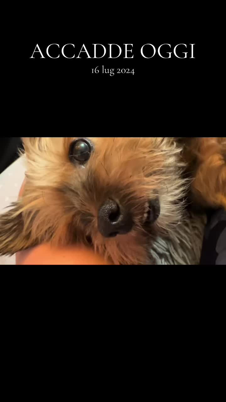 @𝒸𝓇𝒾𝓈𝓉𝒾𝓃𝒶  𝒻𝒶𝒷𝒾ℴ ❤