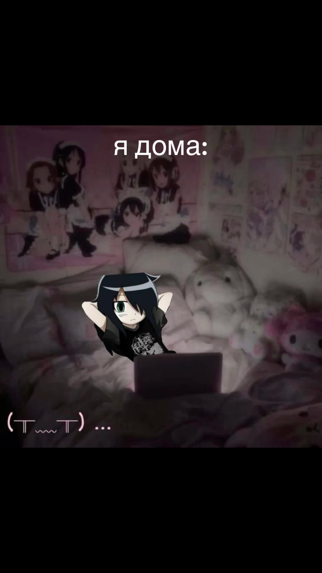 @фіалка