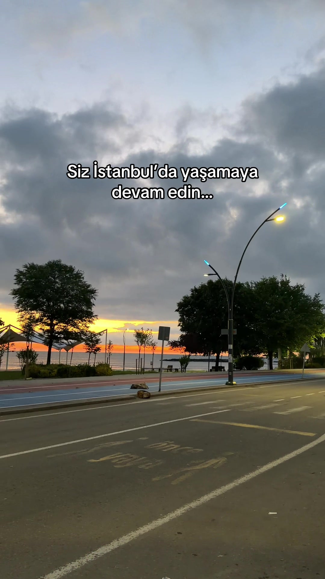 @baronayak