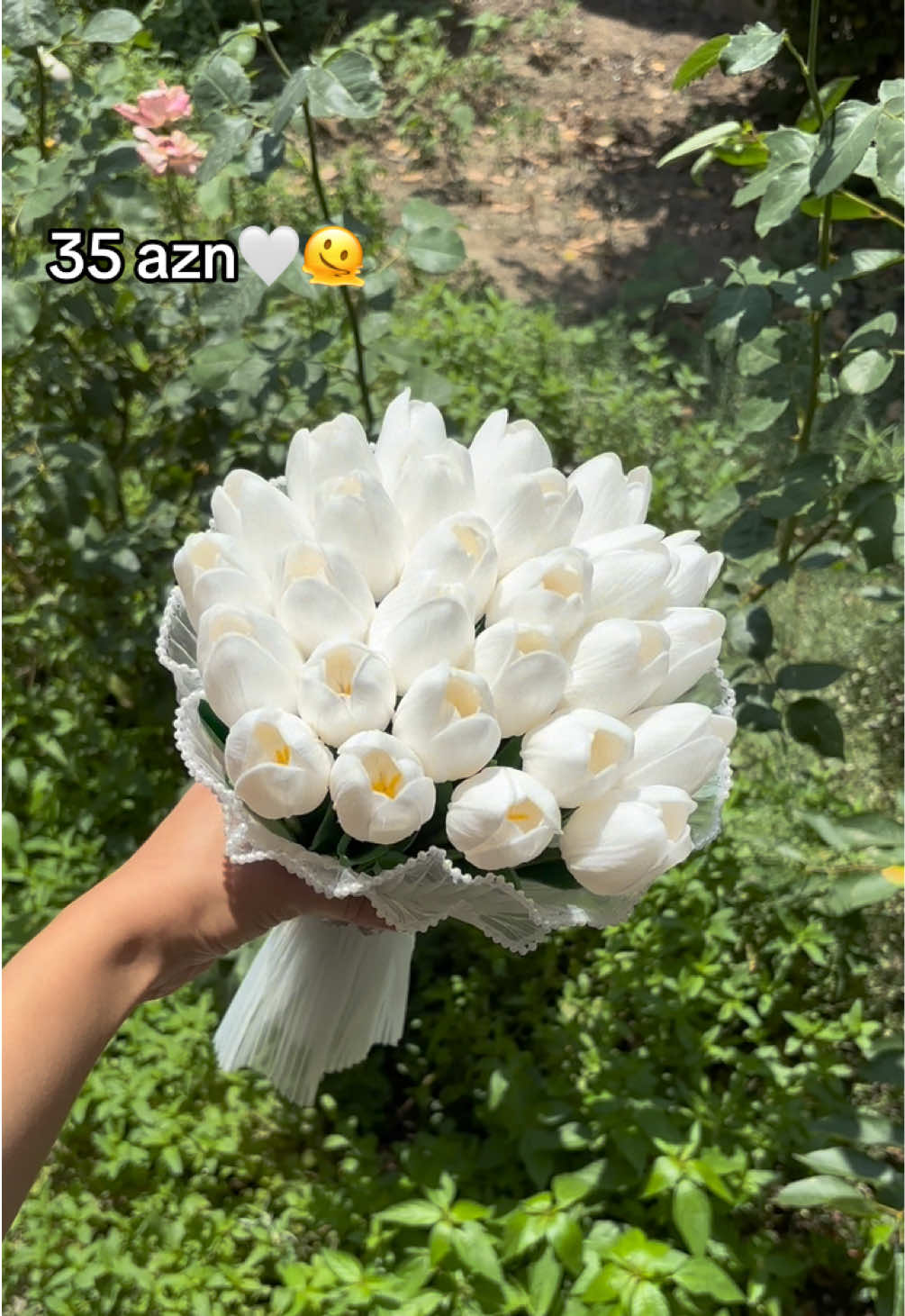 @collection_by_es_