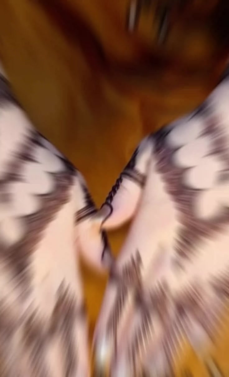 @𝑯𝒐𝒐𝒓𝒂𝒊𝒏 𝑲𝒂𝒎𝒃𝒐𝒉❣️
