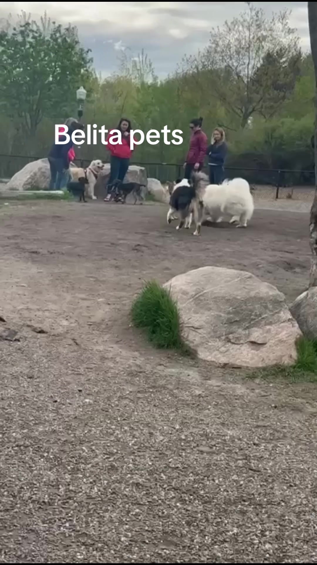 @BelitaPets