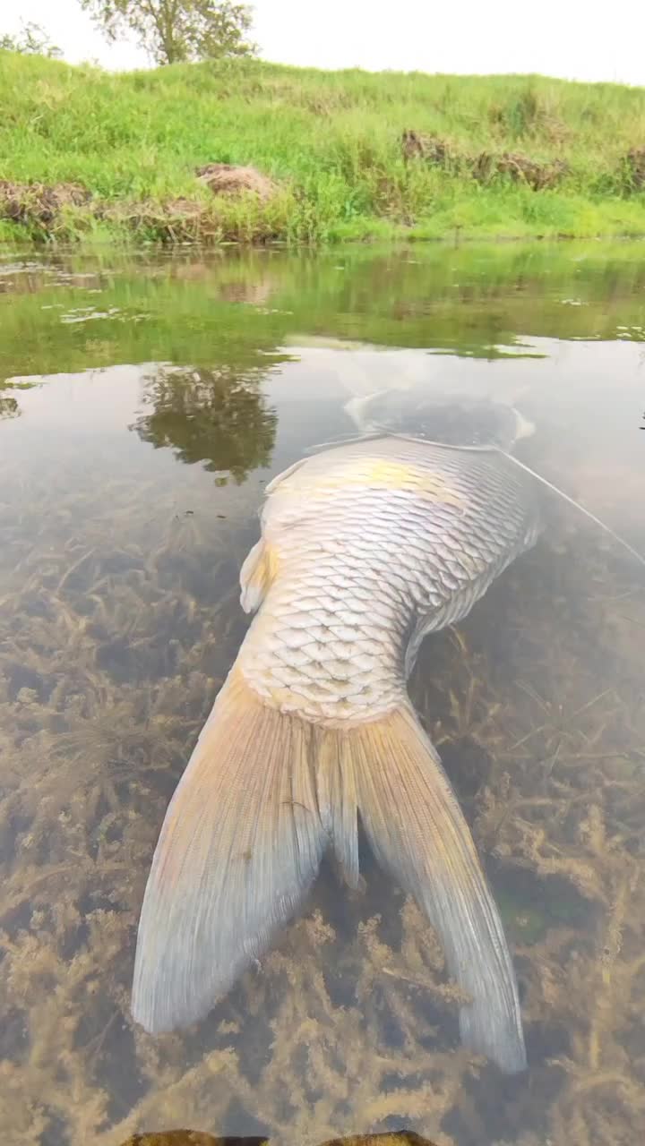 @Fishing