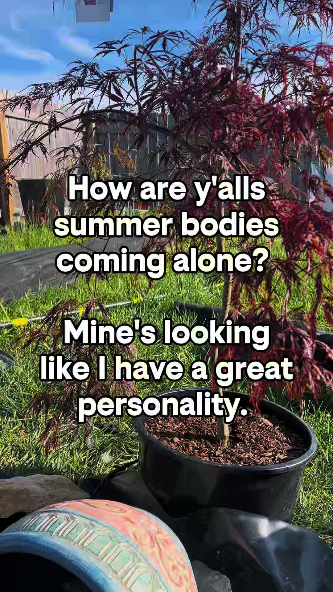 @Her-Curation