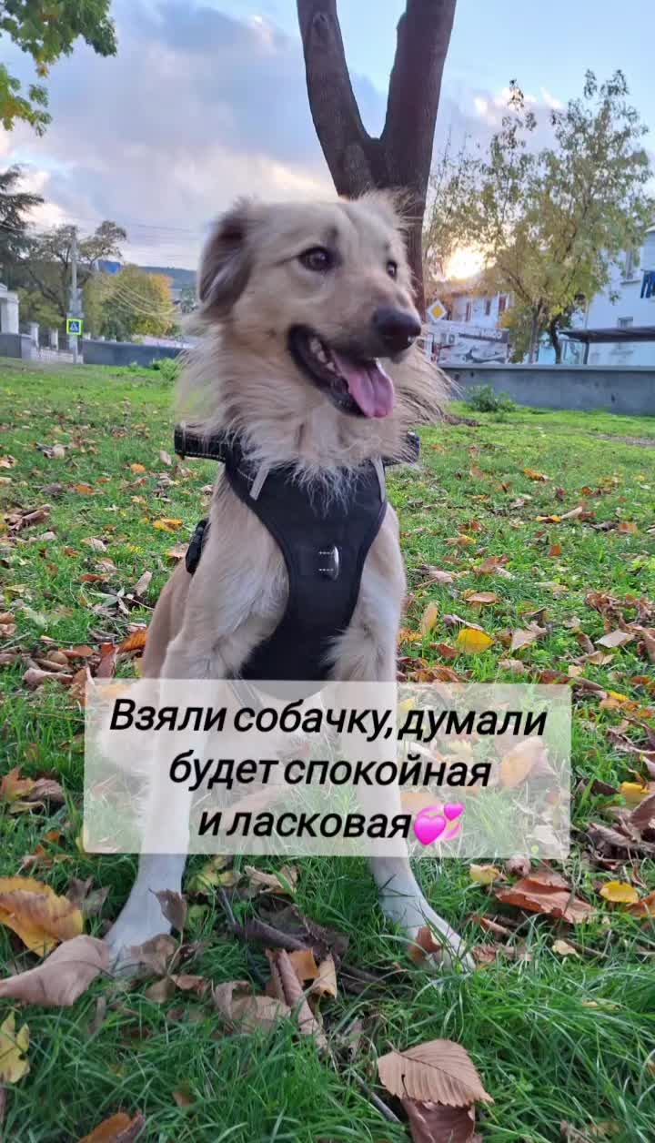 @Вероника Алексеева