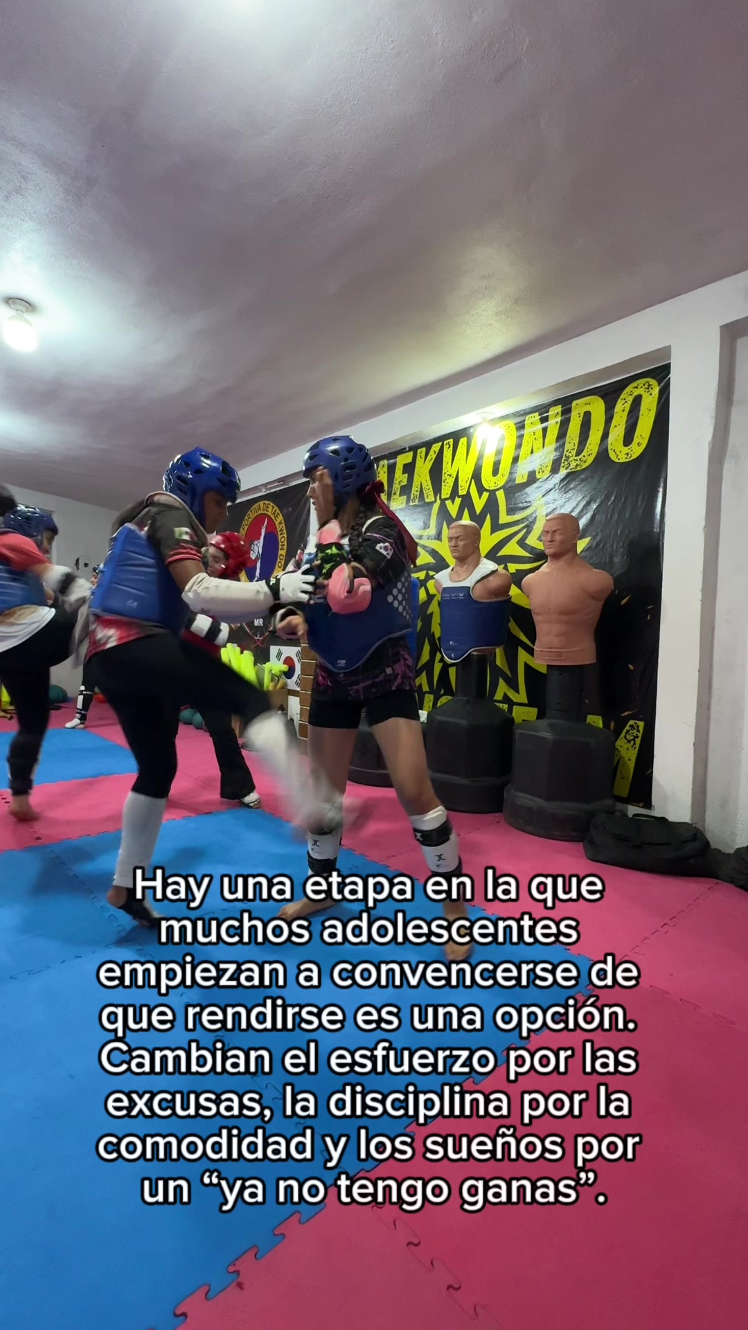 @taekwondolionsteam