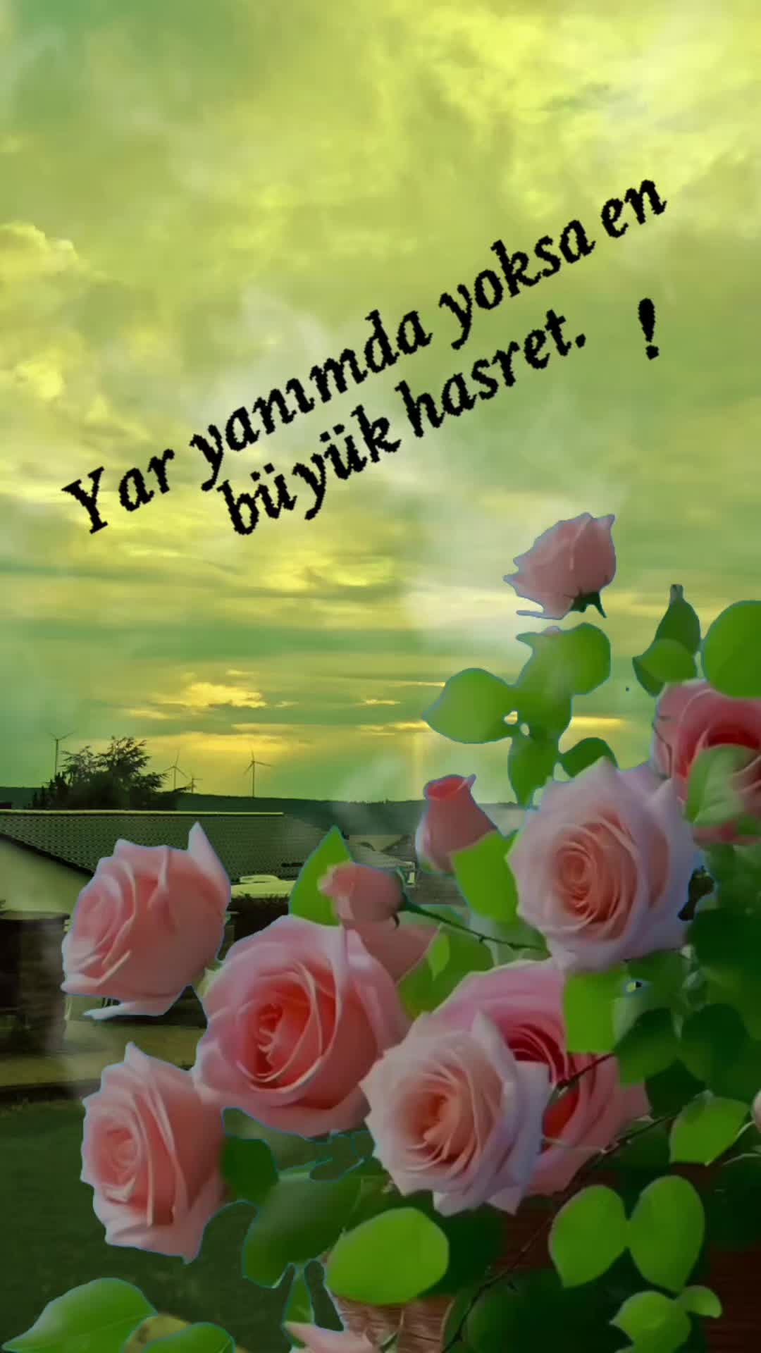 @🇩🇪MAVİ💙MUTFAK🇹🇷