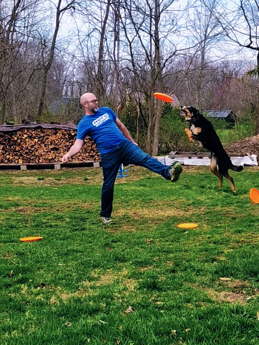 @High Performance Canines