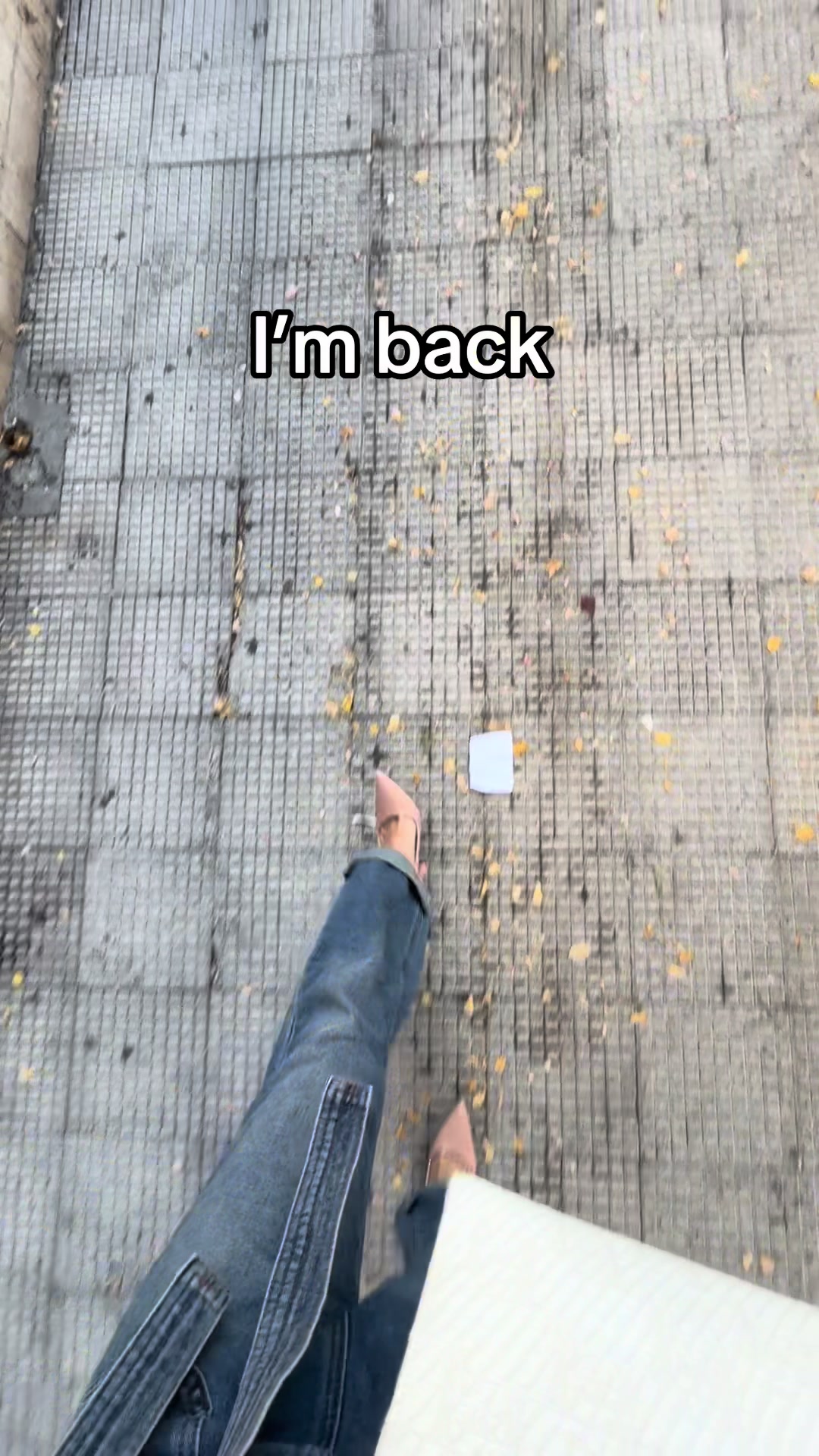 @stefania