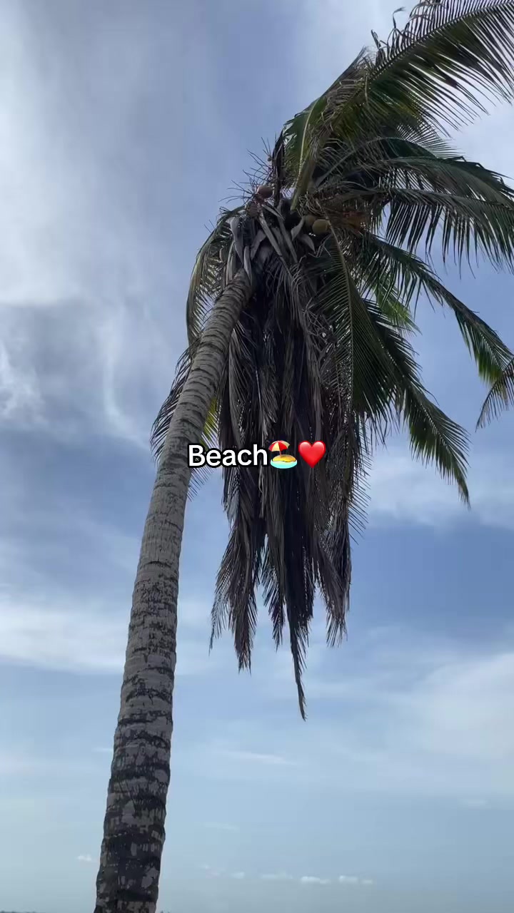 @Makaveli | Explores 🇬🇭