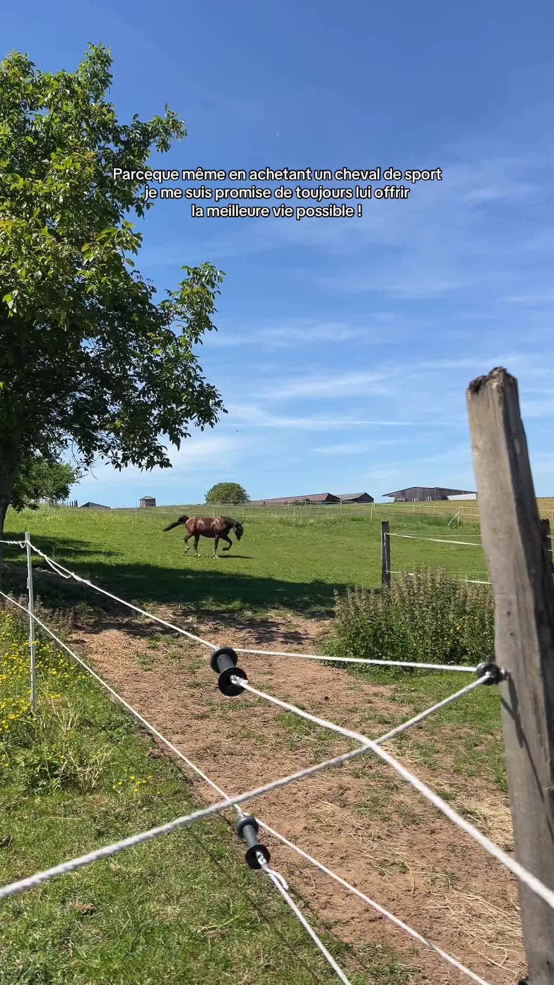 @Karen & Falcon 🦋
