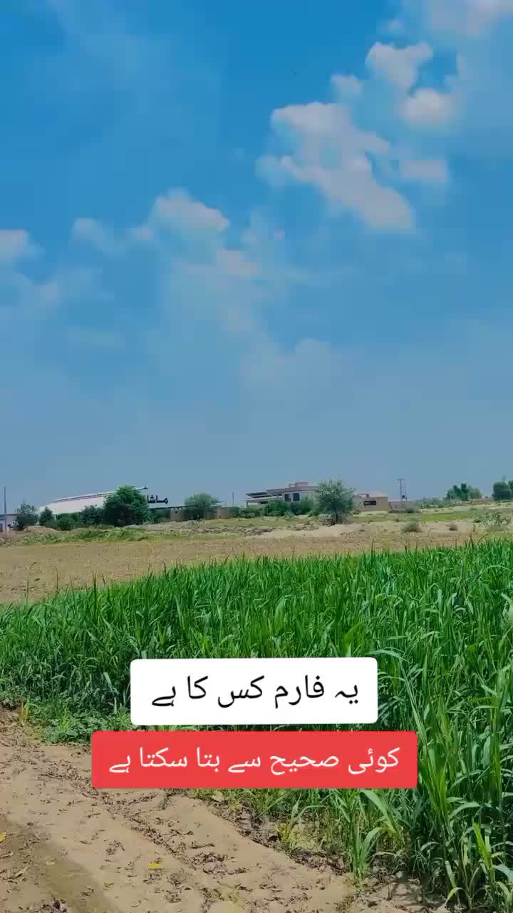 @🔥بلوچ 🔥