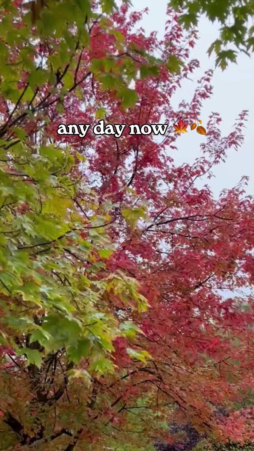 @abitspooky