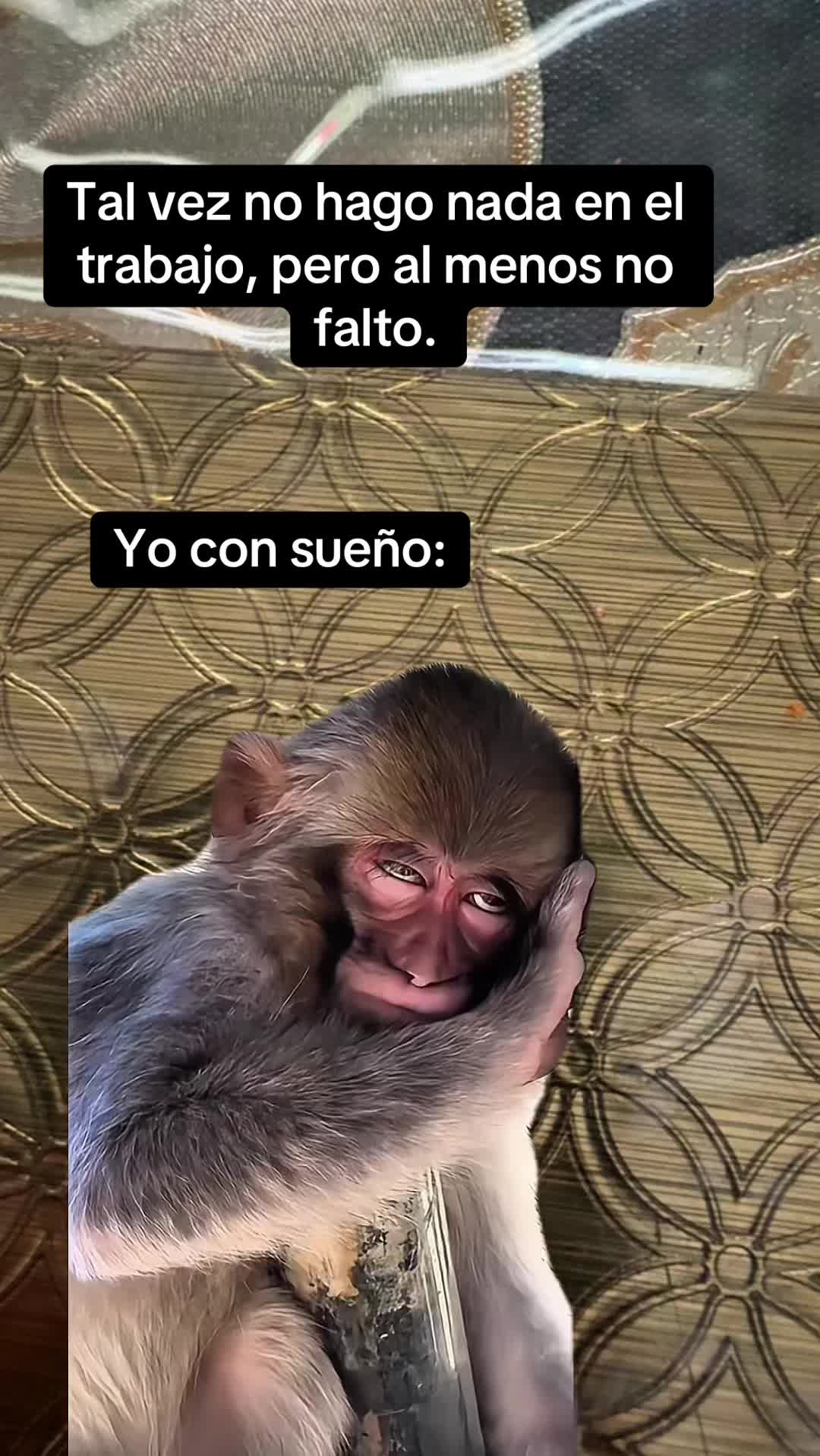 @Hernandez18-2 memes y mas