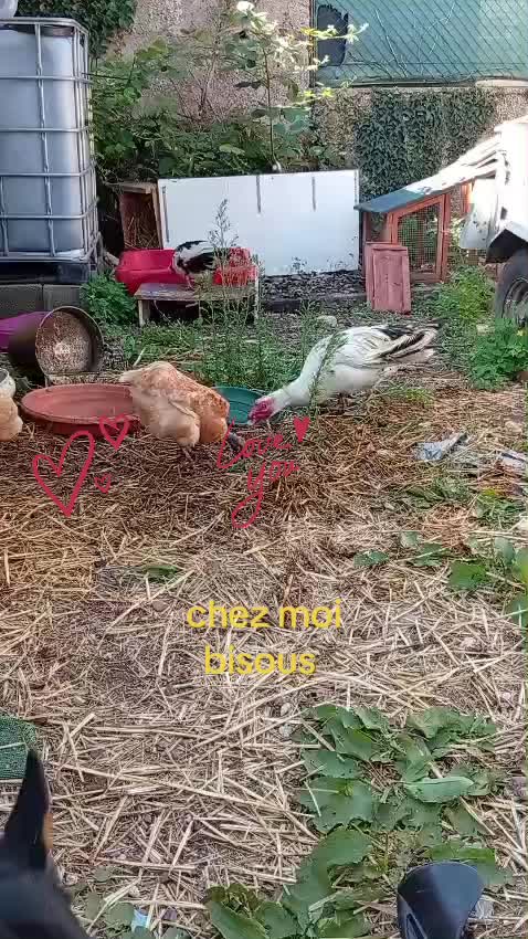 @mon évidence