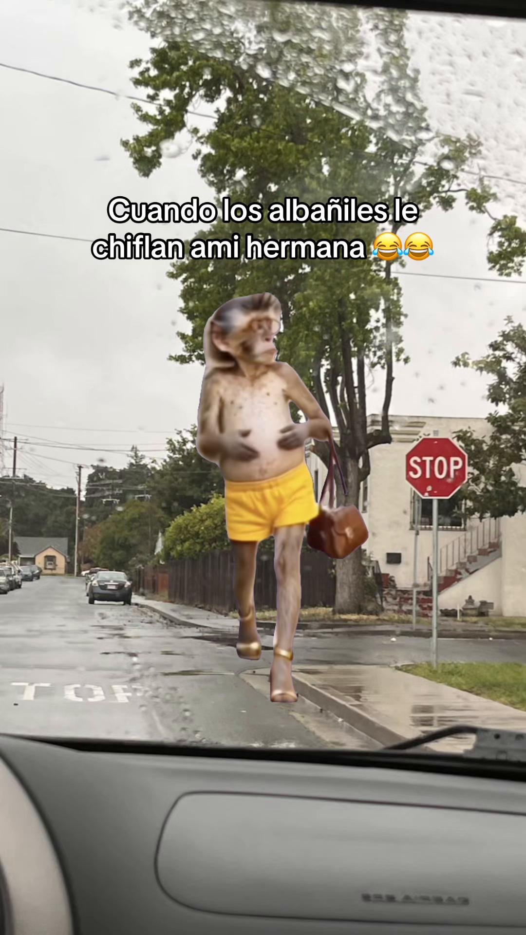 @502Chapina😻❤️🌻