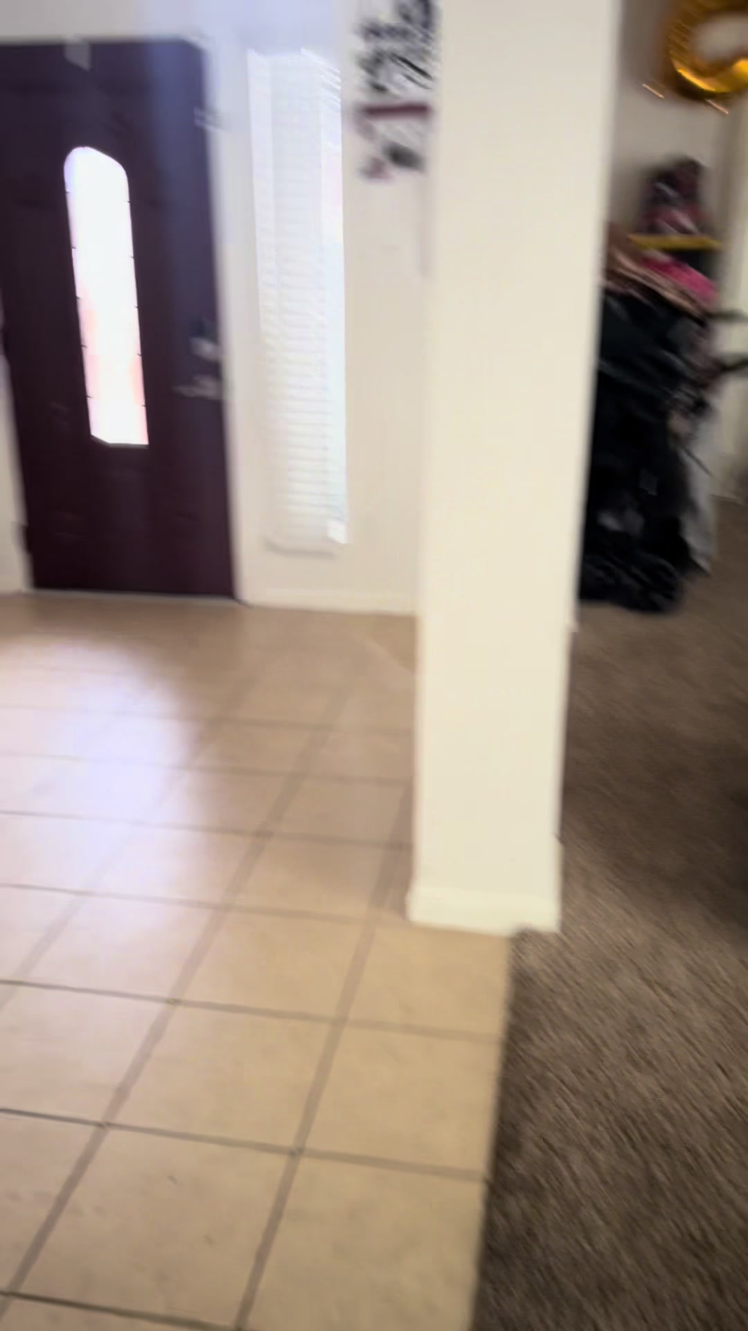 @Brisa y la Familia Alegr&iacute;a