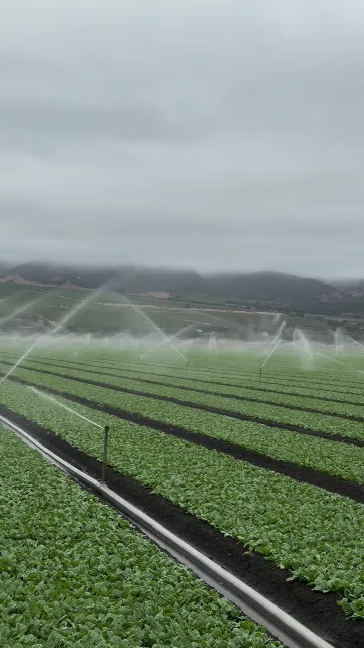 @Zortrax Agriculture Inc