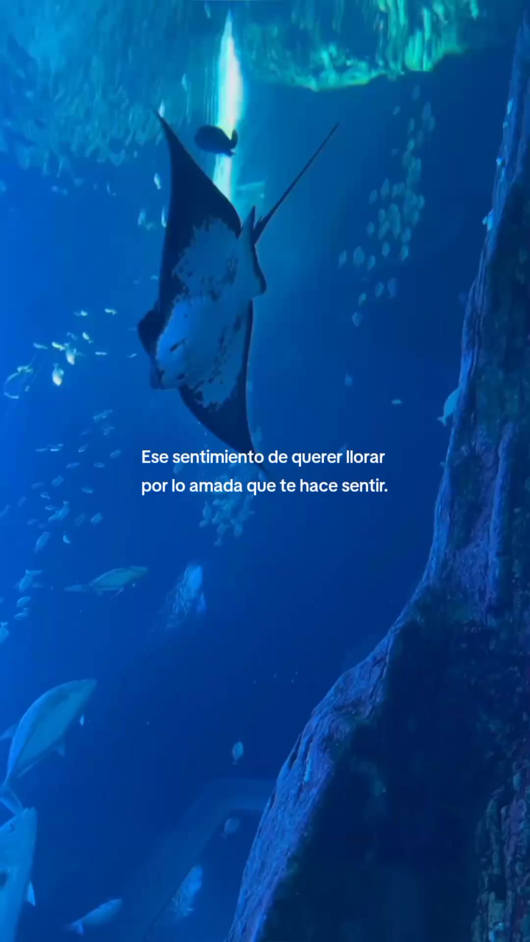 @Mariana