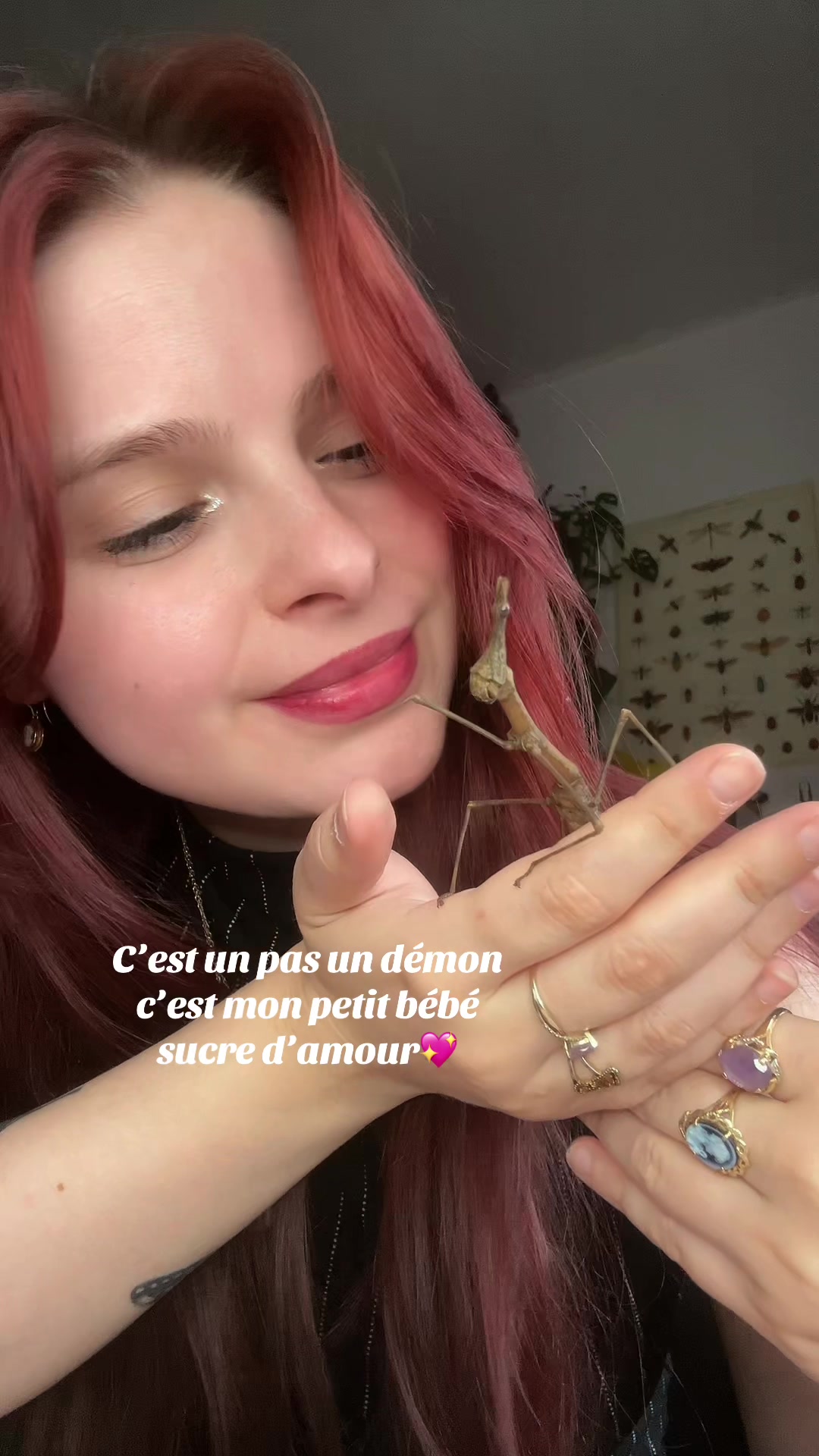 @Am🪲🎀