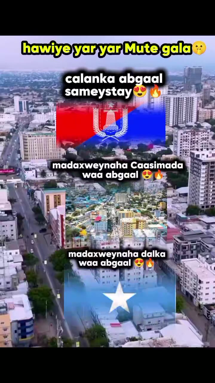 @☆usaame☆🪑🇭🇹