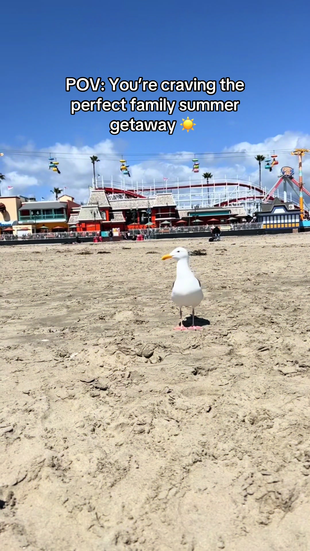 @saracecelia101