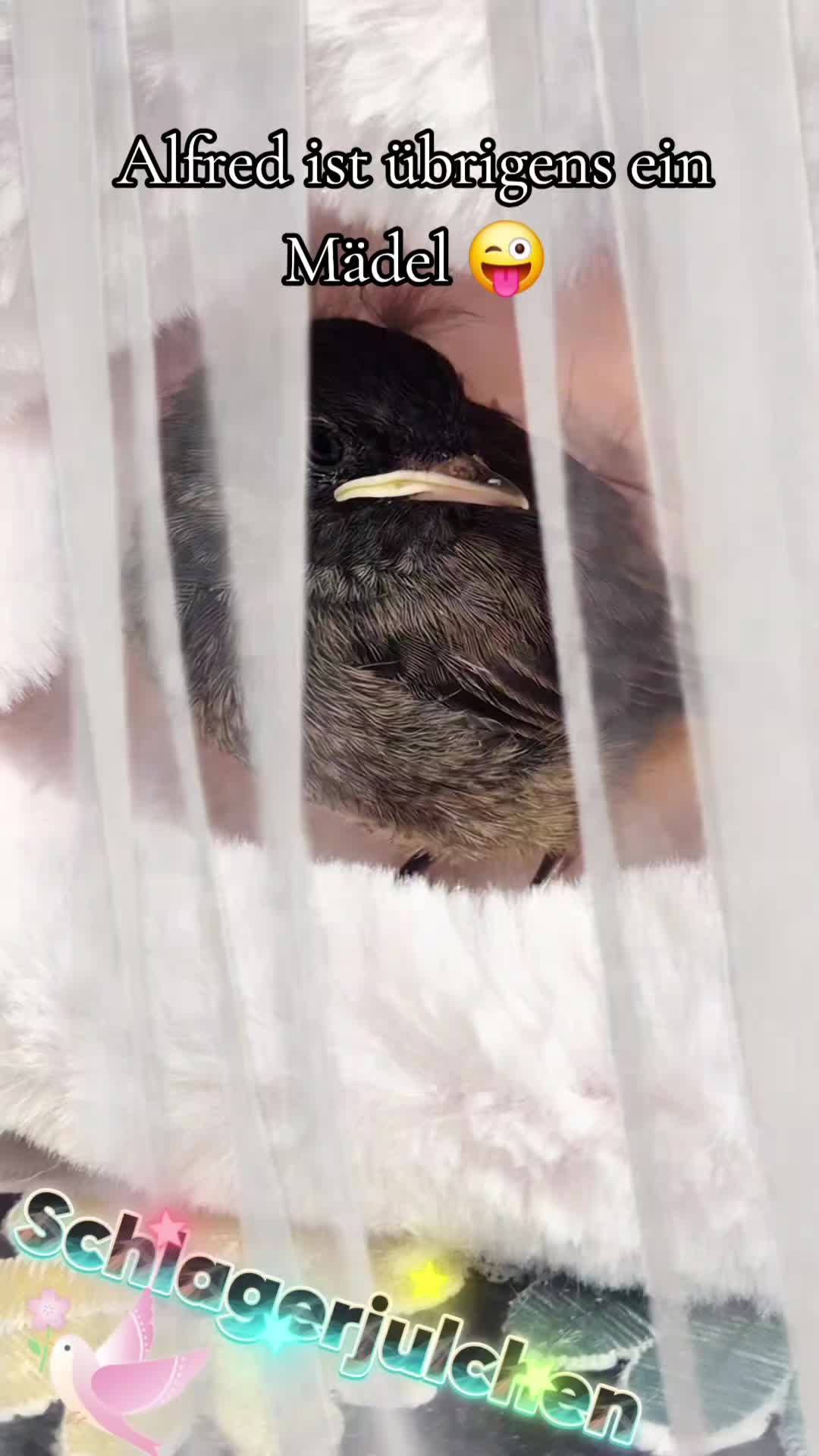@โ๏ธ๏ธ๏ธ๐
๏ธ๐
ค๏ธ๐
๏ธ๐
๏ธ๐
๏ธ๐
๏ธ๐
๏ธโ๏ธ๏ธ๏ธ