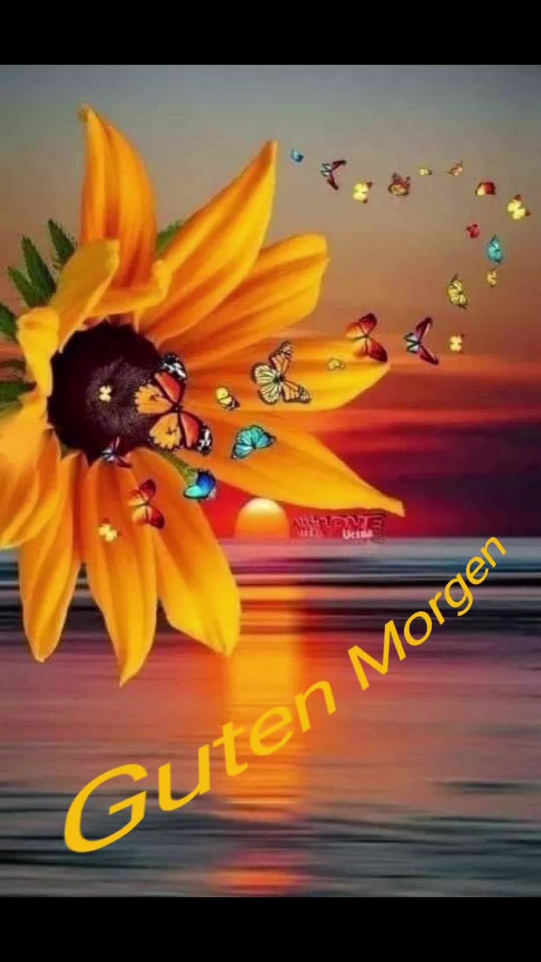 @dagmarschoondy