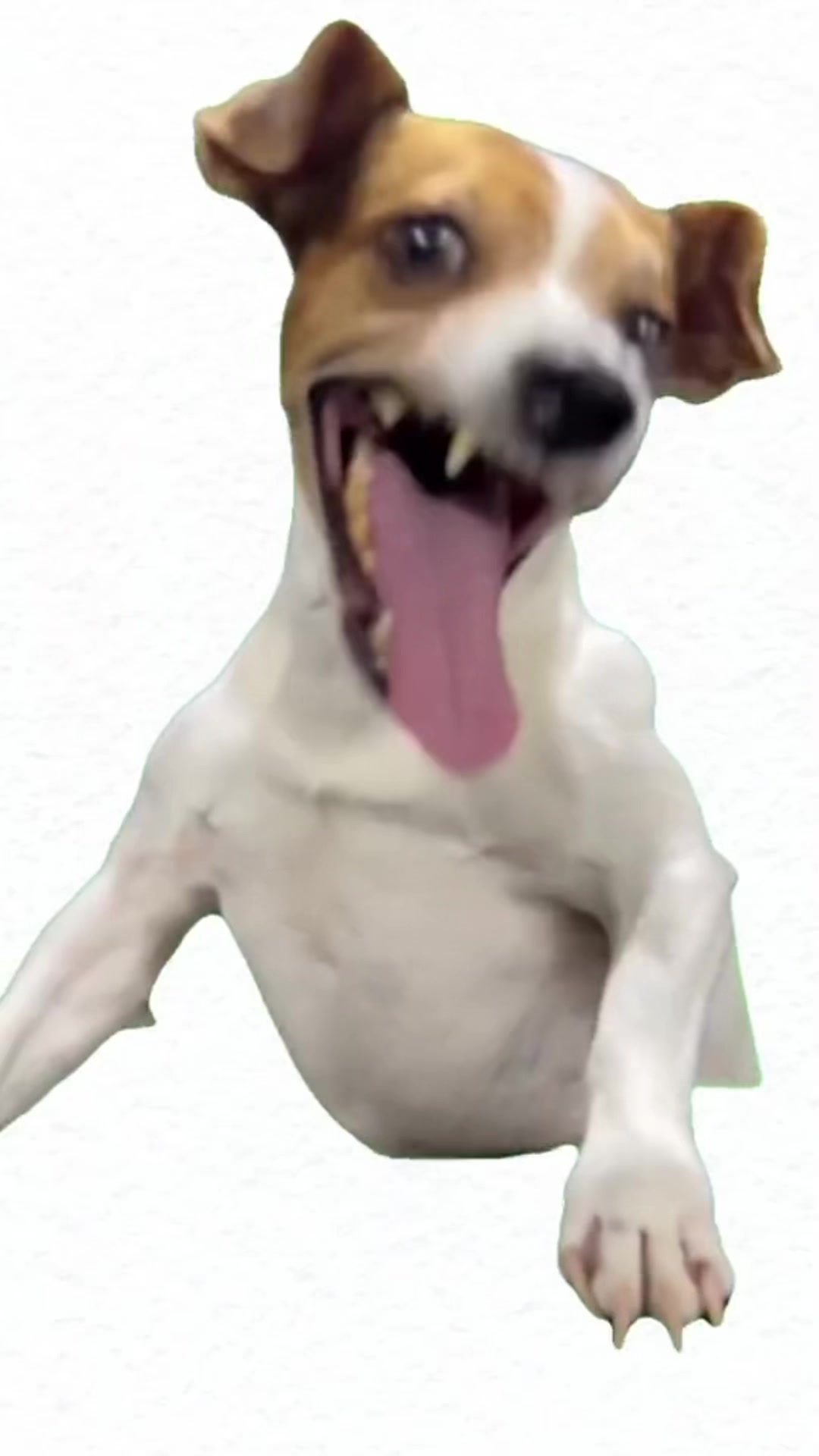 @justpaul