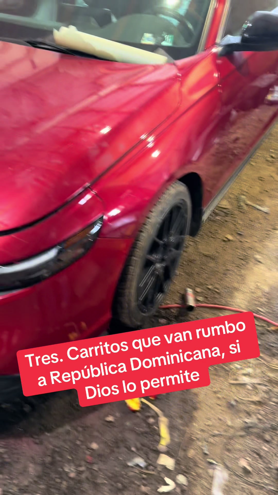 @estarli18